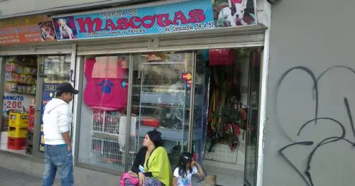 TIENDA DE MASCOTAS AVENIDA CARACAS TIENDA DE MASCOTAS AVENIDA CARACAS